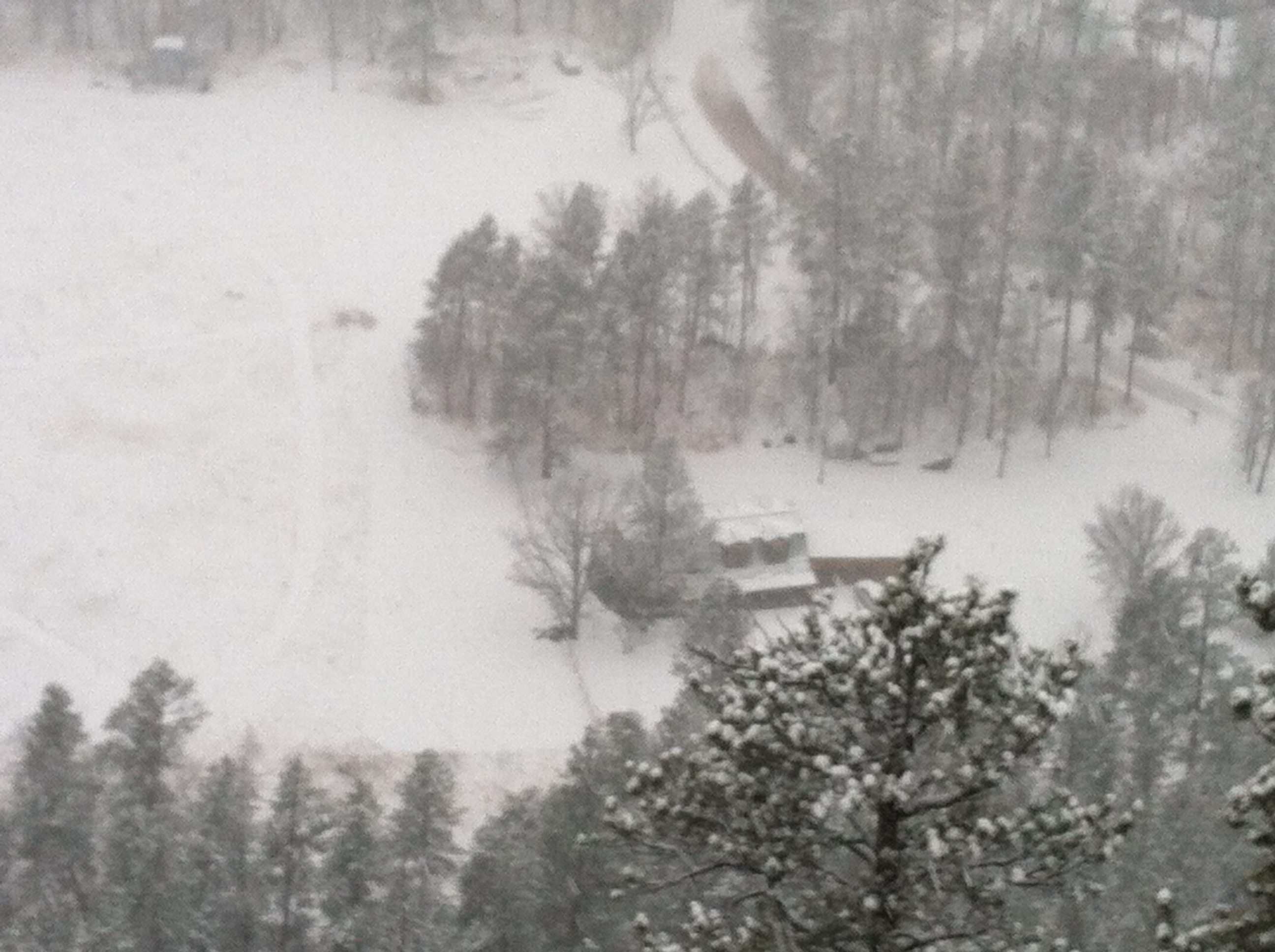 View from above of a snowy valley floor with the tops of pine trees covered in snow. A house sits in the middle of a meadow, The whole picture is obscured with flying snow. 