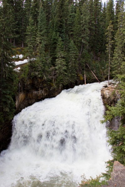 A white, frothing waterfall cascades between pine tree-covered riverbanks