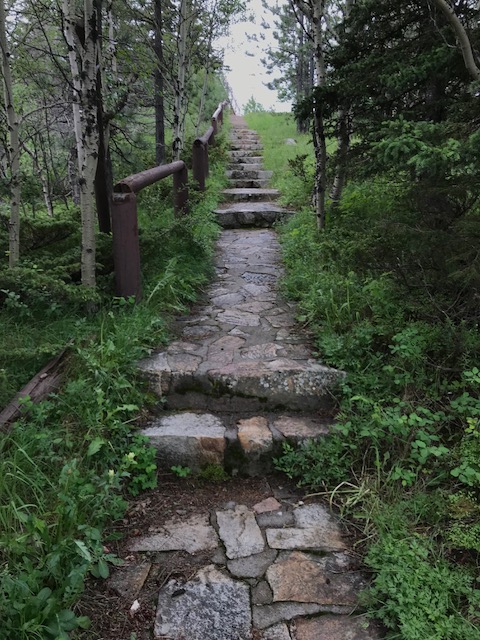 Cobblestone steps ascend a hill through the trees