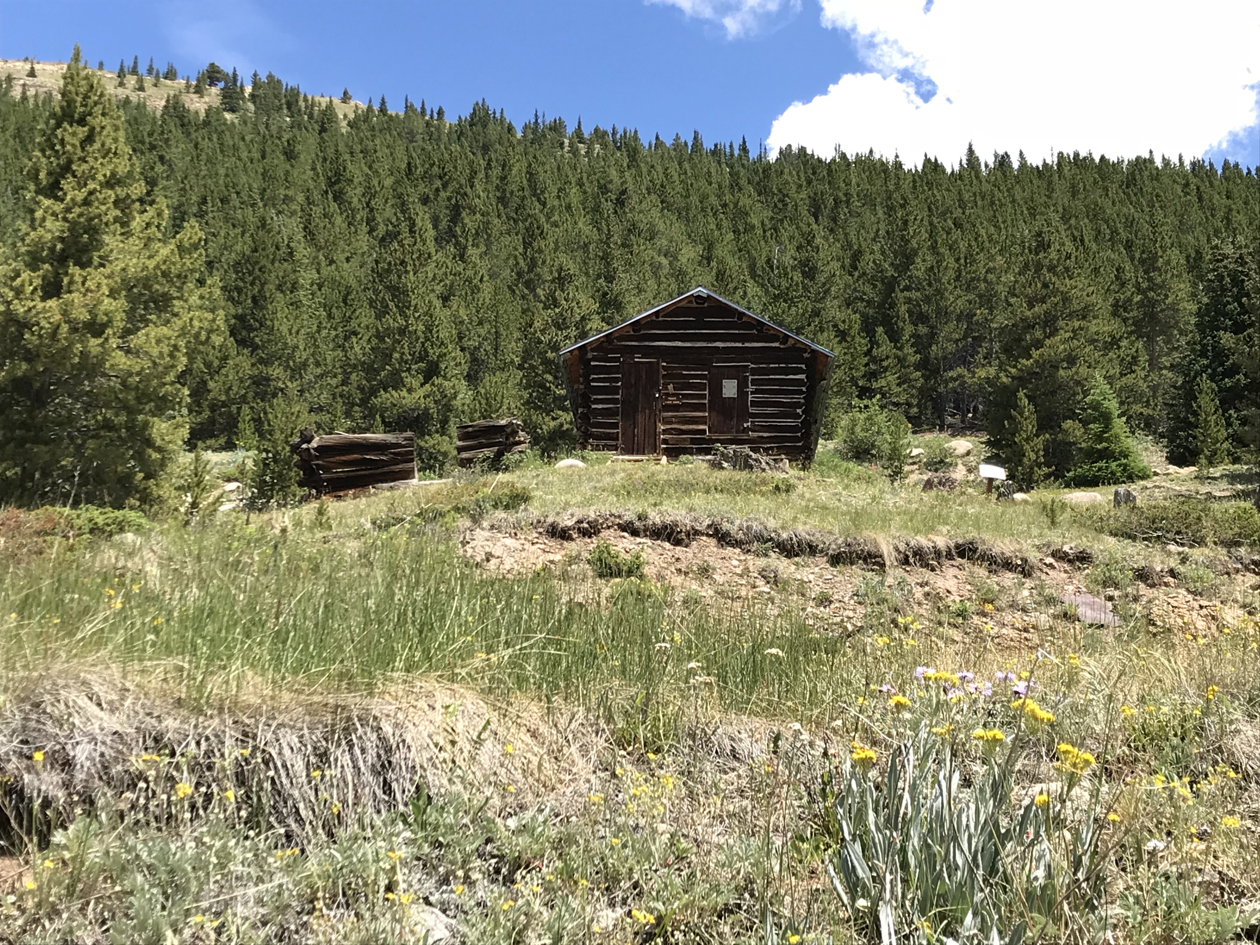 An old cabin sits in a grassy meadow with a tree-covered mountain in the background