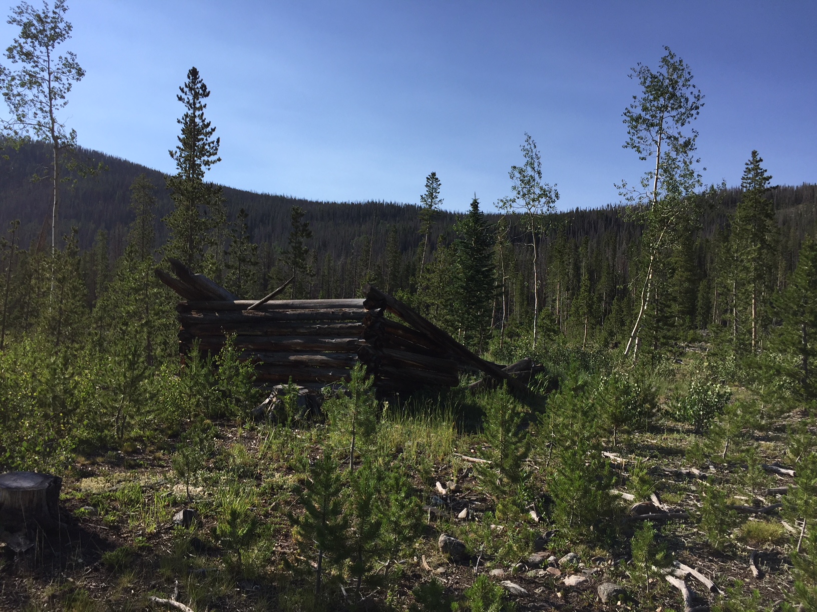 The ruins of an old cabin sits amongst small trees in an open space. Tree-covered mountains are in the background.
