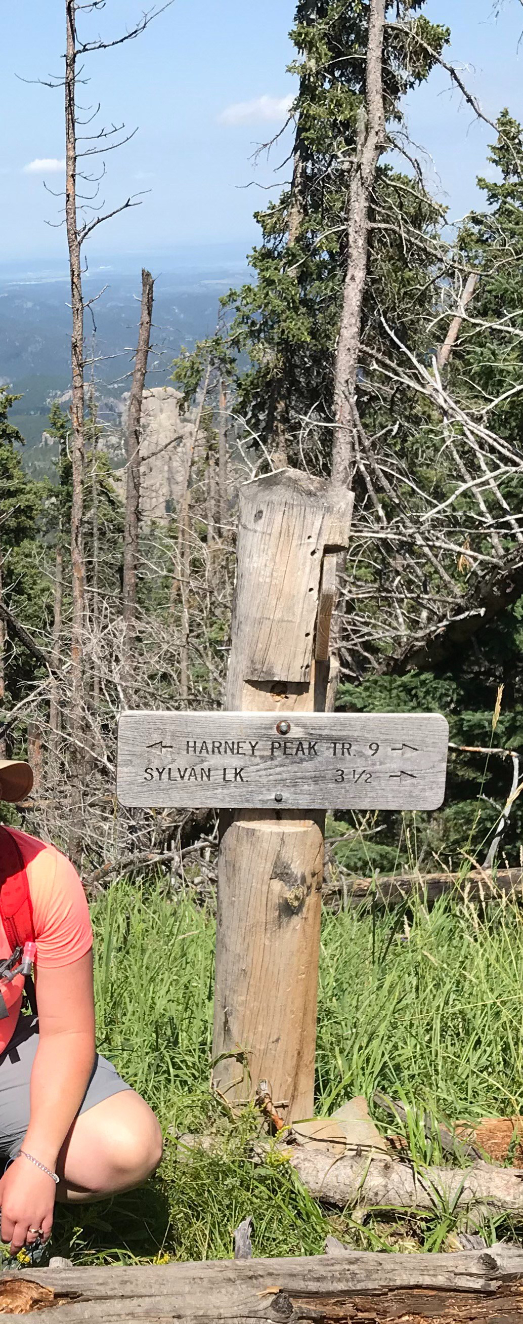 A wooden sign on a wooden post in the woods that reads, "Harney Peak, Tr. 9" and "Sylvan Lake 3.5", both with arrows pointing to the correct direction
