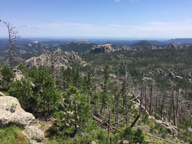 View over a forested, mountainside vista with lots of dead trees. Flatter plains are in the far background through the haze. Random, rock mountains rise from the surrounding forest.