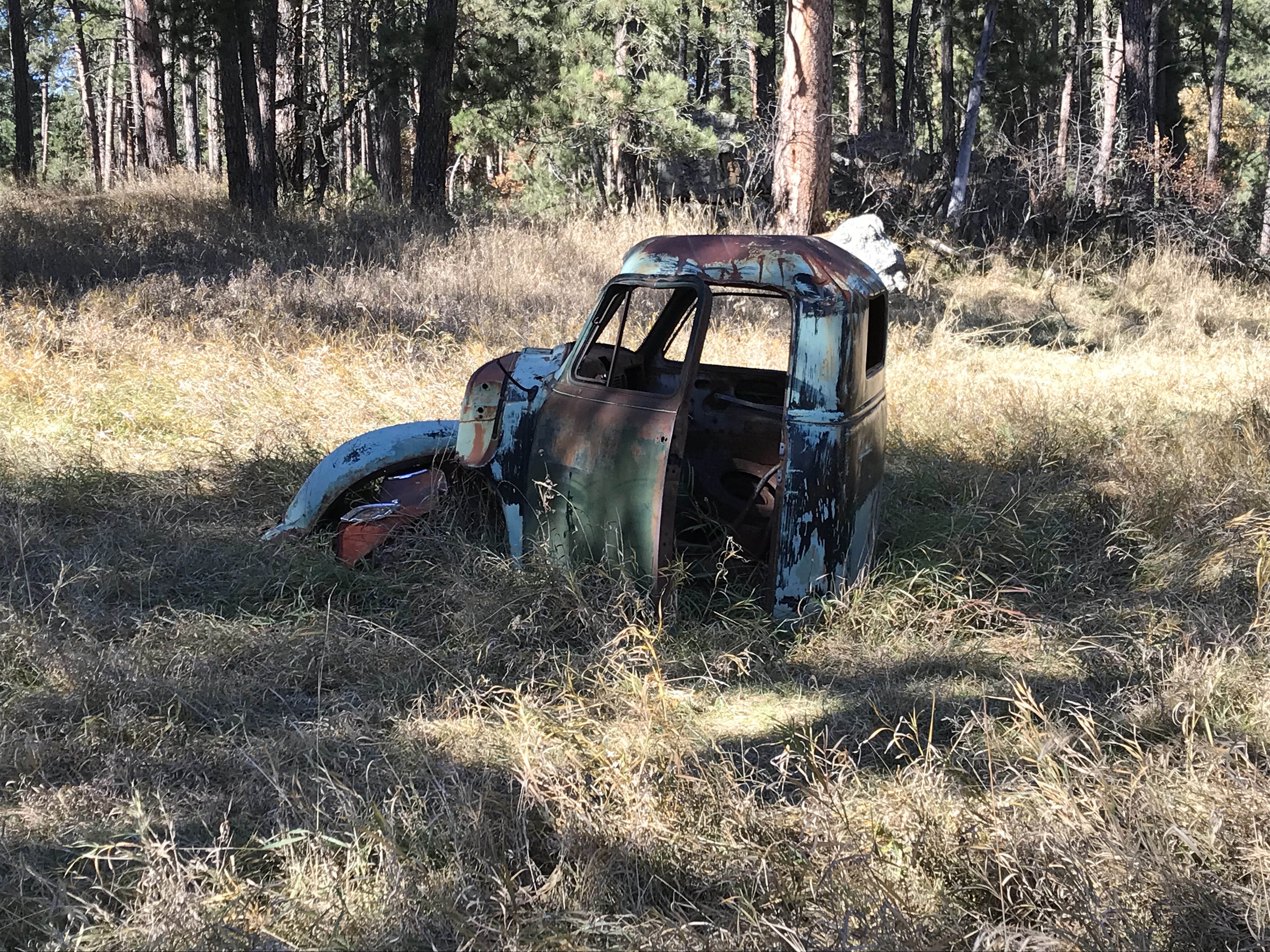 The cab of a rusted, old truck with no windows sits on the ground, in a meadow, surrounded by trees. 