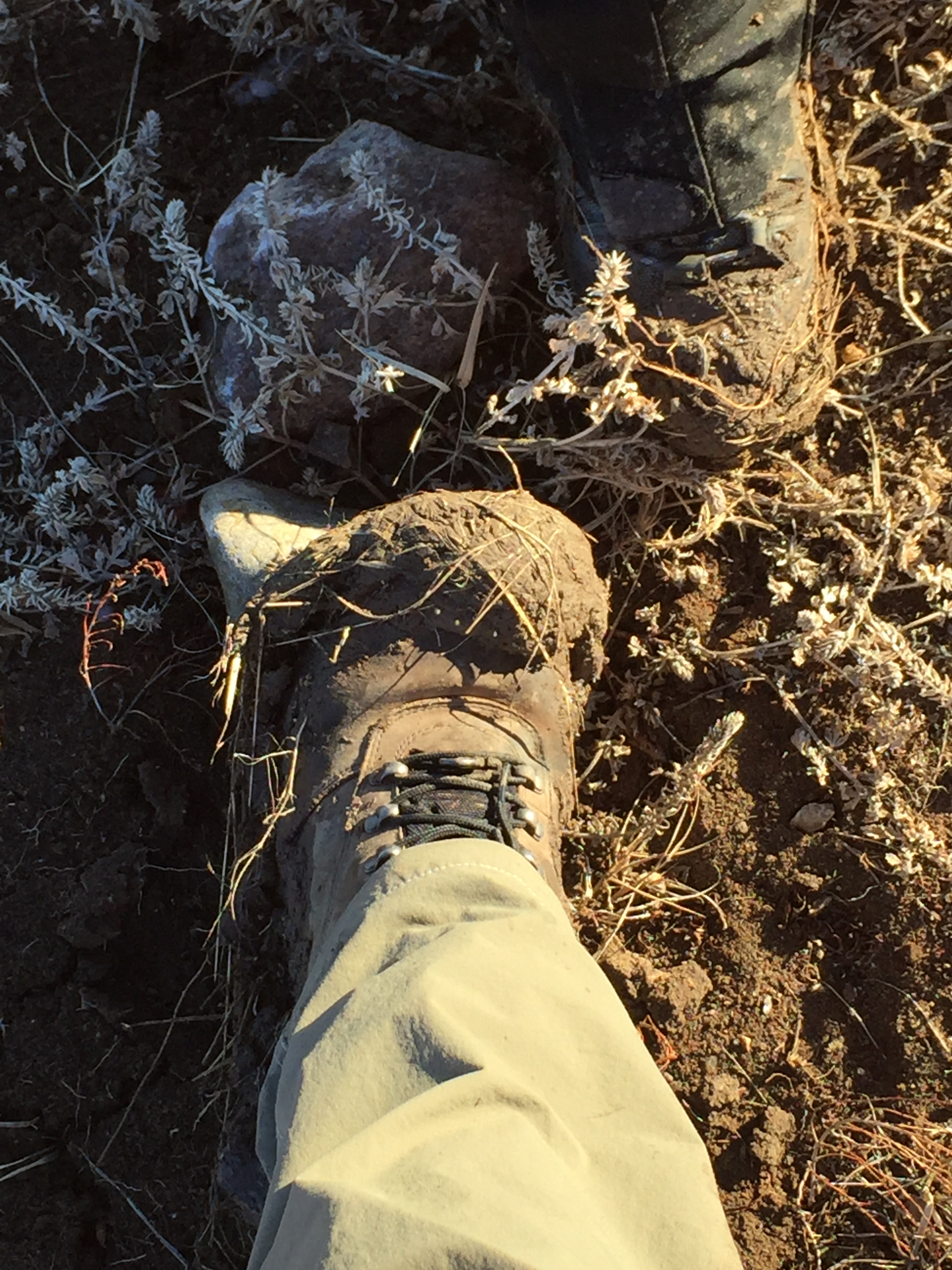 2 hiking boots covered in mud on the ground