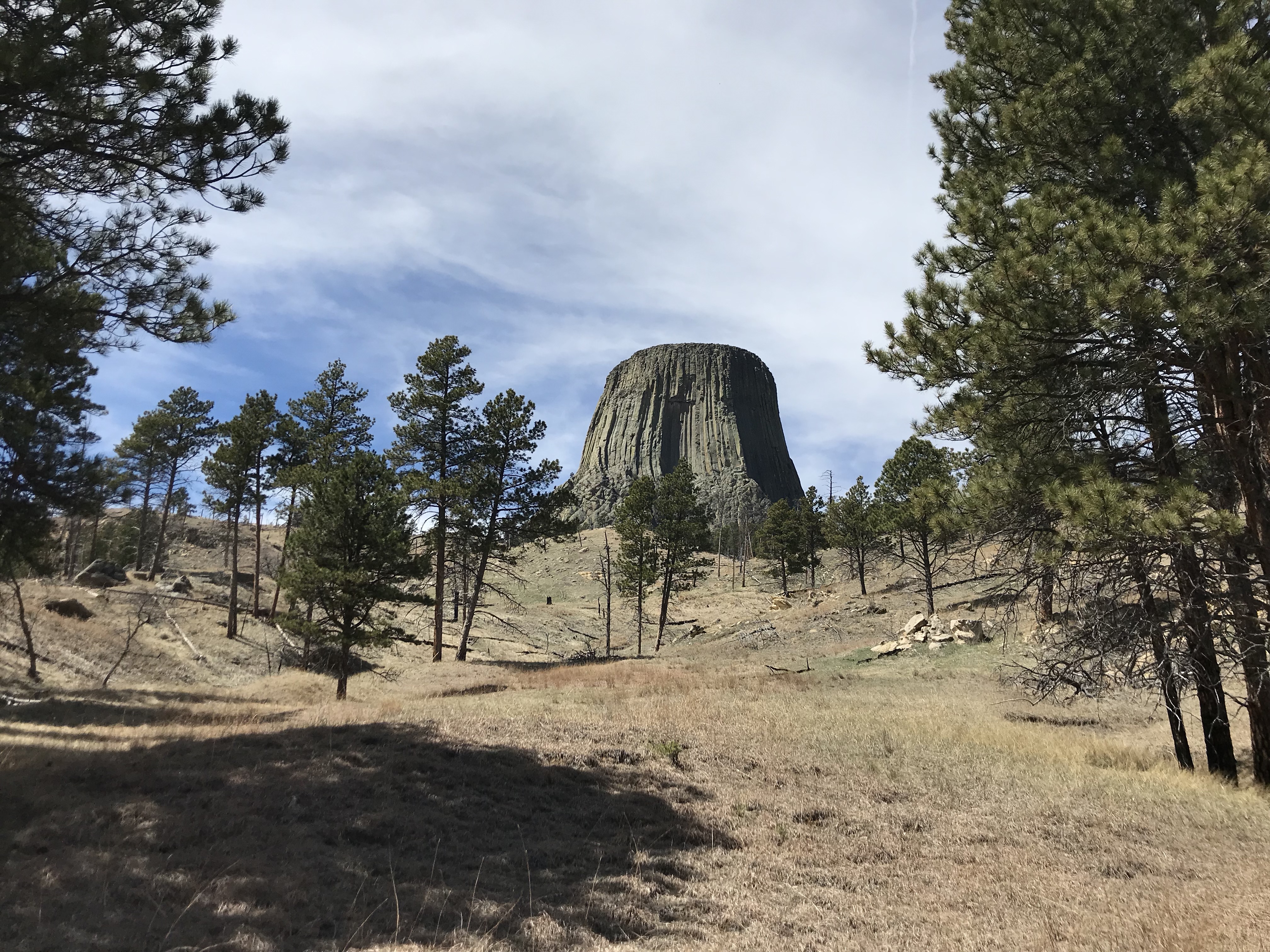 View up a hill covered in brown grass and sparse, pine trees. A tall, rock monolith rises from behind the crest of the hill. 